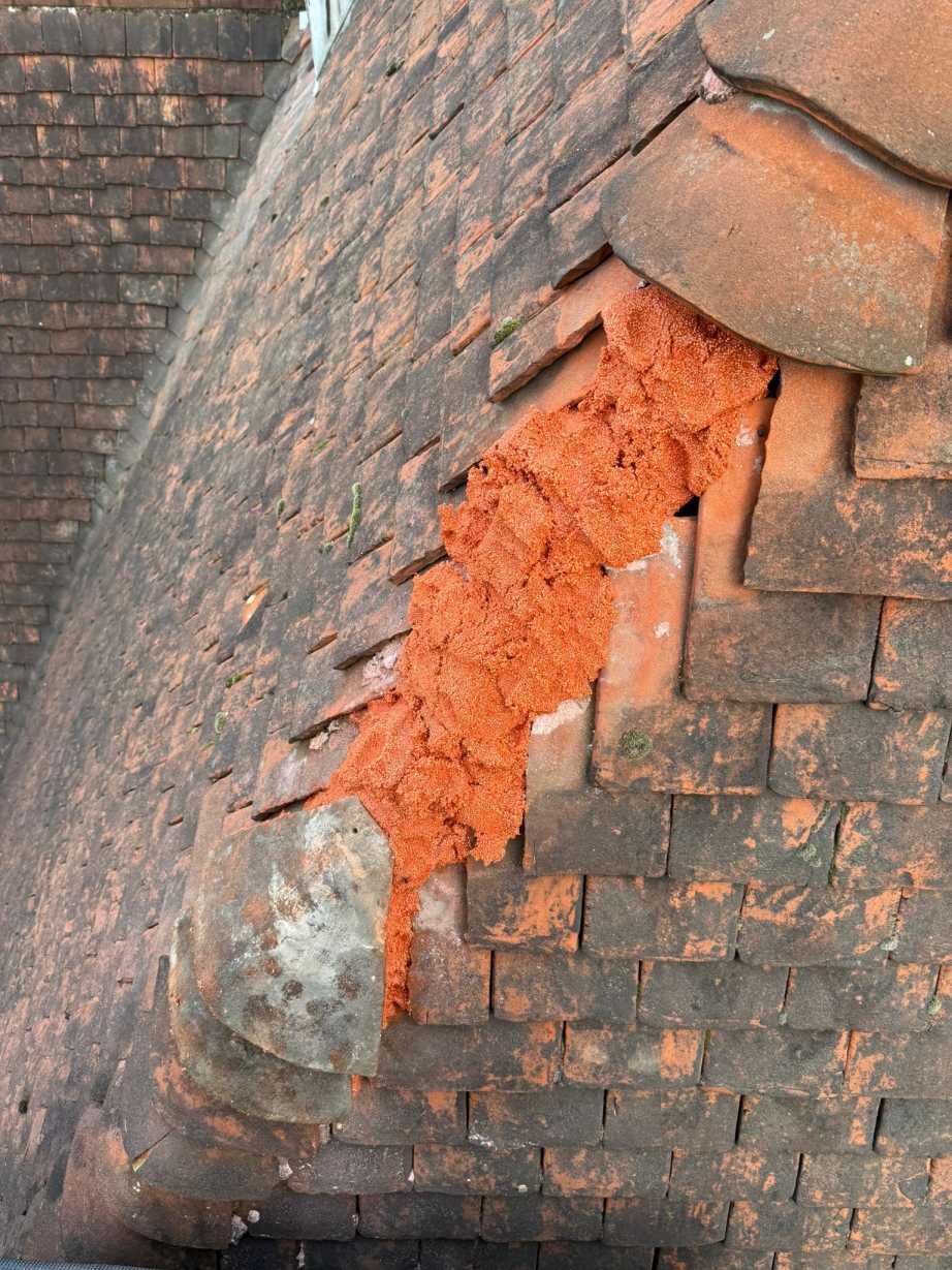 Daklekkage nokpannen reparatie