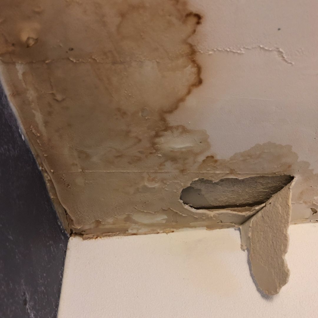 Daklekkage reparatie